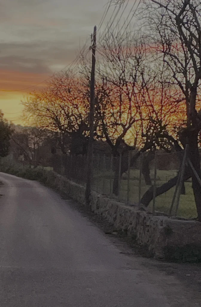 Wanderweg von Andratx nach Port Andratx mit Sonnenuntergang bei Port Andratx Mallorca